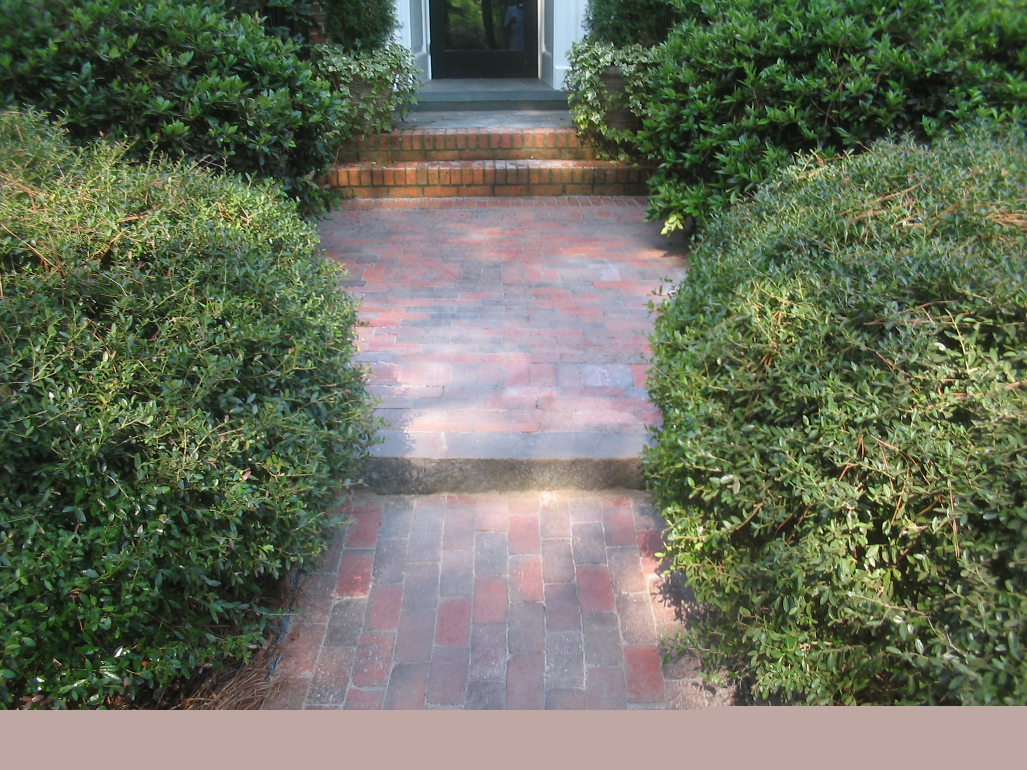 goodwalkwaypic.jpg